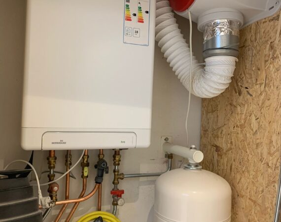 WhatsApp Image 2025-10-30 at 14.59.15 (8)